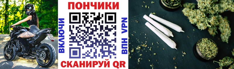 Бошки марихуана OG Kush  Купить закладки  Алапаевск 